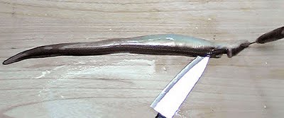 F1000352.jpg
