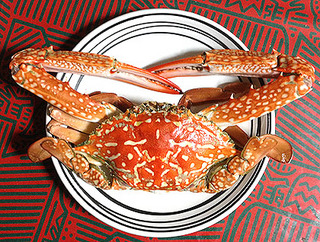 自分だけの魚図鑑: 甲殻類