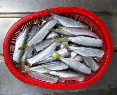 料理