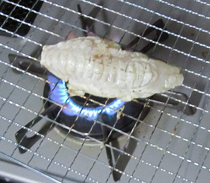 ӂ