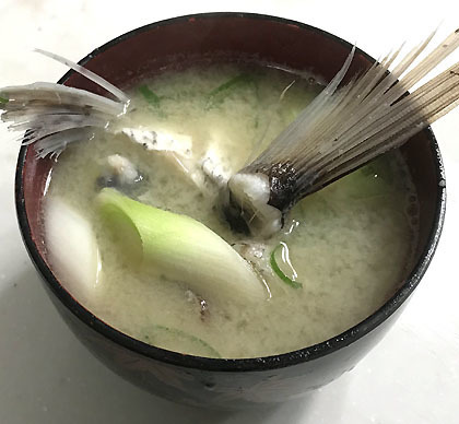 真鯛の味噌汁 釣りバカ男の手料理