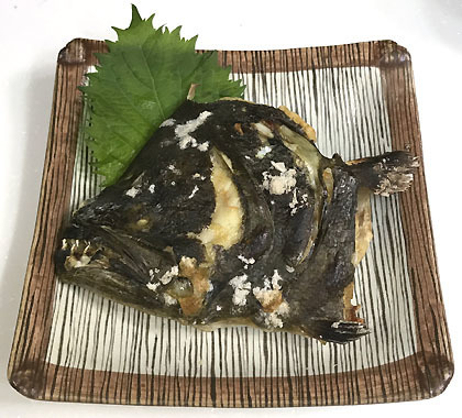 鮃の塩焼き 釣りバカ男の手料理