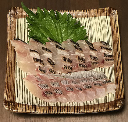 イサキの湯霜造り 釣りバカ男の手料理