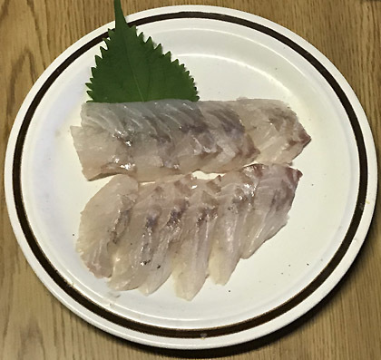 コイチの料理 釣りバカ男の手料理