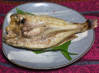 gughi.jpg