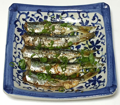 oil sardine